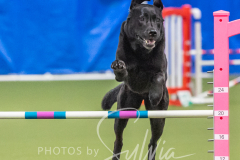 2024-3-10-May-Trial-745