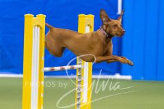 2024-3-10-May-Trial-747