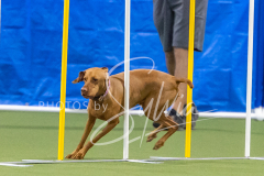 2024-3-10-May-Trial-749