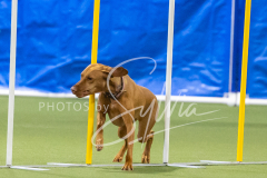 2024-3-10-May-Trial-751