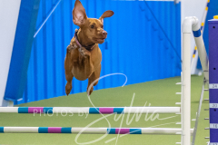 2024-3-10-May-Trial-752