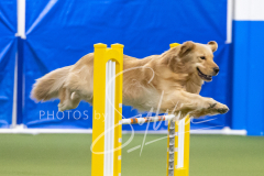 2024-3-10-May-Trial-753