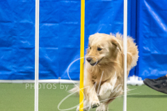 2024-3-10-May-Trial-754