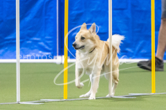 2024-3-10-May-Trial-760