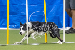 2024-3-10-May-Trial-762