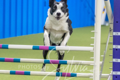 2024-3-10-May-Trial-764