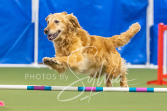 2024-3-10-May-Trial-783