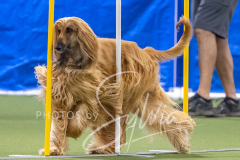 2024-3-10-May-Trial-839