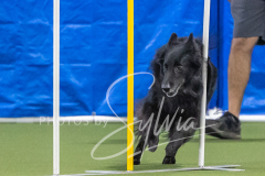 2024-3-10-May-Trial-845