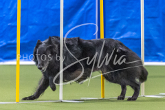 2024-3-10-May-Trial-846