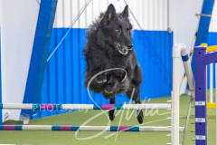 2024-3-10-May-Trial-847