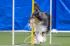 2024-3-10-May-Trial-848