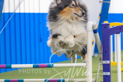 2024-3-10-May-Trial-852