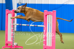 2024-3-10-May-Trial-853