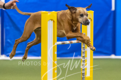 2024-3-10-May-Trial-854