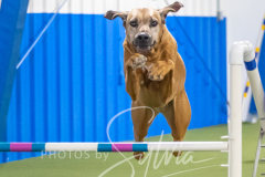 2024-3-10-May-Trial-856