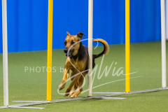 5-12-24-AAKC-985