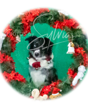 2024-11-2-3-XMAS-105