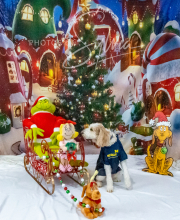 2024-11-2-3-XMAS-109