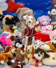 2024-11-2-3-XMAS-121