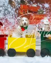 2024-11-2-3-XMAS-126