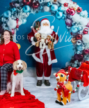 2024-11-2-3-XMAS-129