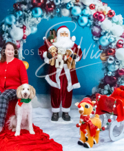 2024-11-2-3-XMAS-131