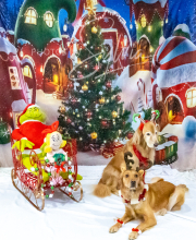 2024-11-2-3-XMAS-135