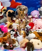 2024-11-2-3-XMAS-142