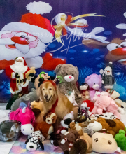 2024-11-2-3-XMAS-147