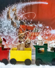 2024-11-2-3-XMAS-150