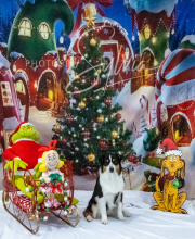 2024-11-2-3-XMAS-171