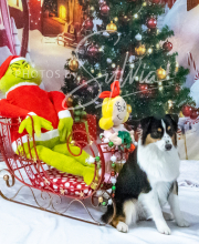 2024-11-2-3-XMAS-172