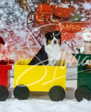 2024-11-2-3-XMAS-181