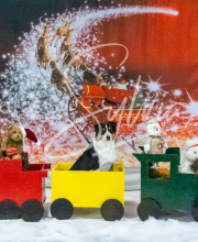 2024-11-2-3-XMAS-182