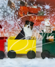 2024-11-2-3-XMAS-183