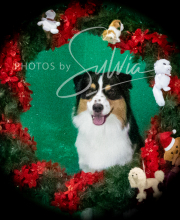 2024-11-2-3-XMAS-191