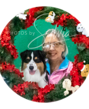 2024-11-2-3-XMAS-194