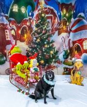 2024-11-2-3-XMAS-244