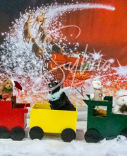 2024-11-2-3-XMAS-256