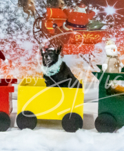 2024-11-2-3-XMAS-259