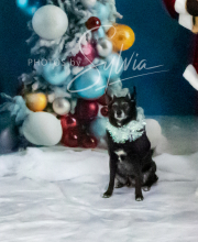 2024-11-2-3-XMAS-263