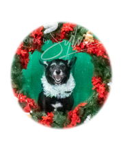 2024-11-2-3-XMAS-268