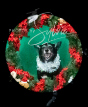 2024-11-2-3-XMAS-271