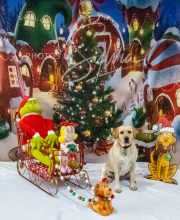 2024-11-2-3-XMAS-272