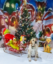 2024-11-2-3-XMAS-275