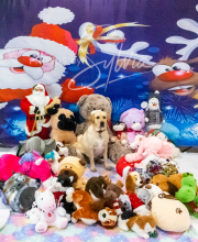 2024-11-2-3-XMAS-277