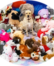 2024-11-2-3-XMAS-279