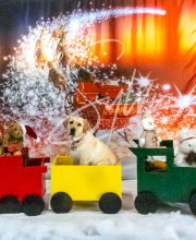 2024-11-2-3-XMAS-280