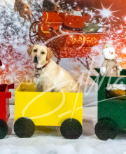 2024-11-2-3-XMAS-281